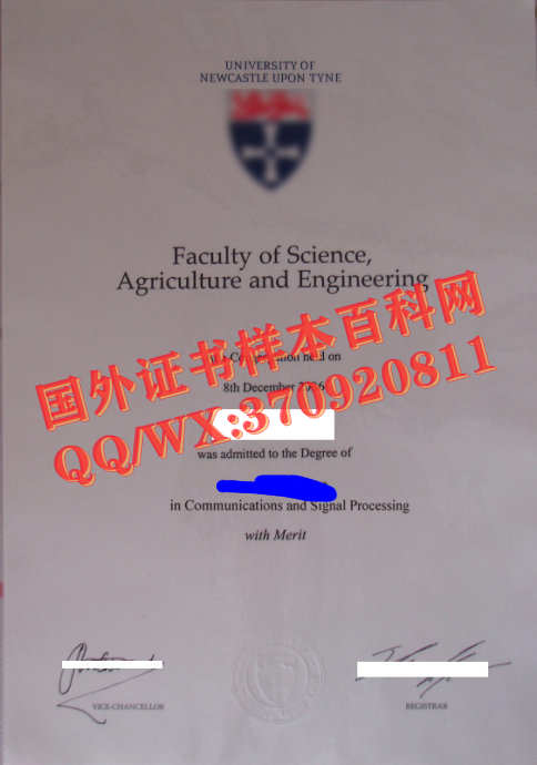 英国纽卡斯尔大学毕业证书样本