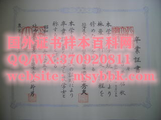 【日本学院】北海道大学毕业证书样本