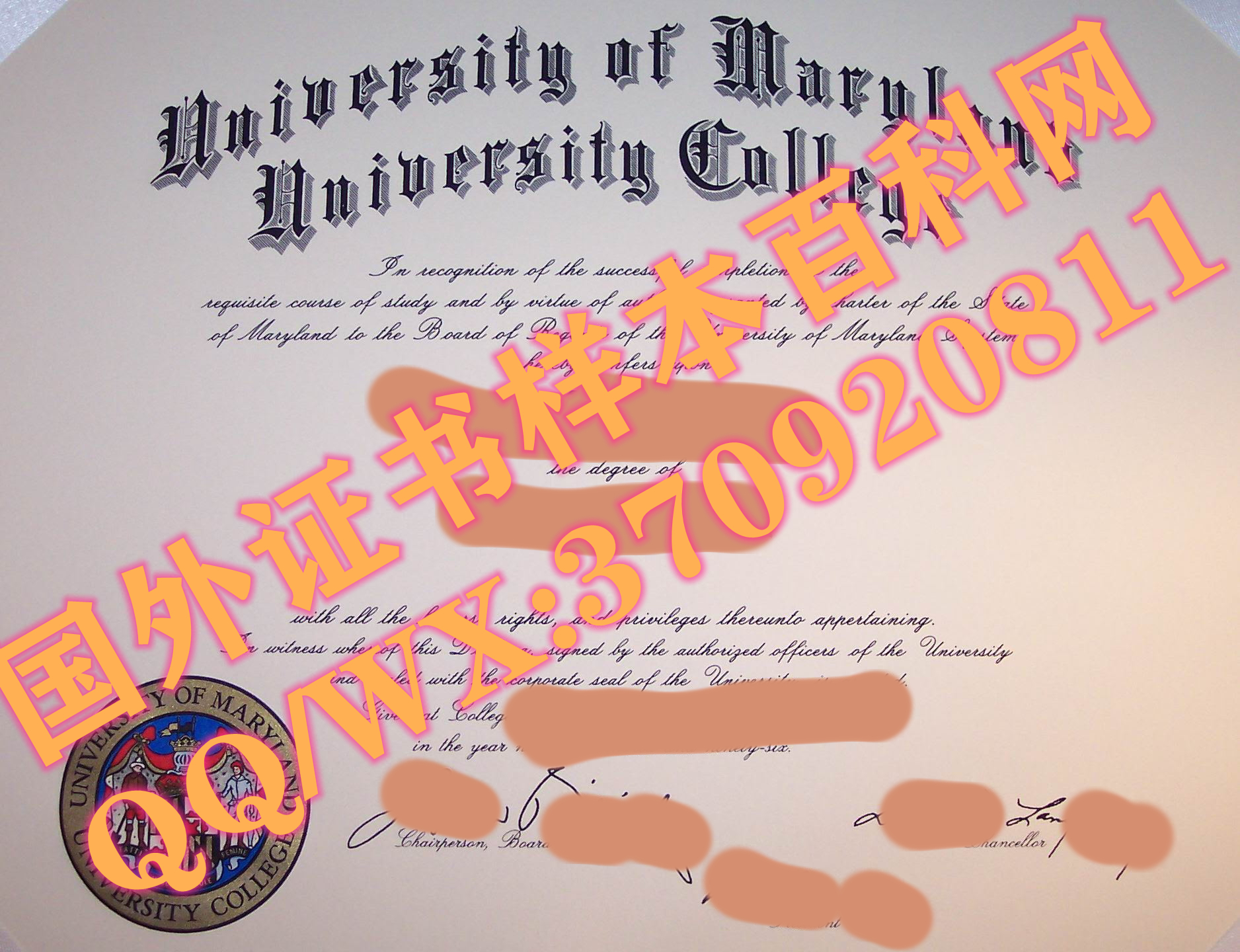 展示图片：美国马里兰大学帕克分校毕业证书样本