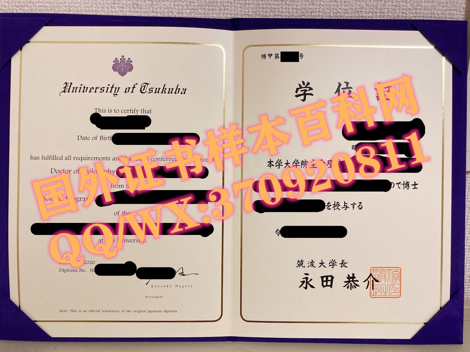 日本筑波大学毕业证样本展示