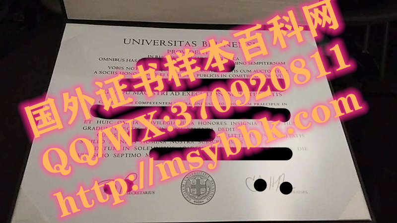最新定制：美国布朗大学毕业证模板