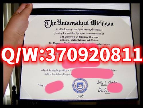 全网美国密歇根大学安娜堡分校毕业证书模板