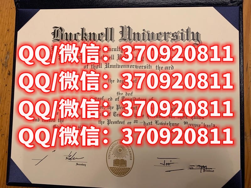巴克内尔大学毕业证样本展示