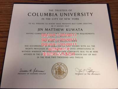 马里兰大学巴尔的摩分校文凭样本-国外大学毕业证