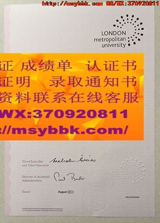 世宗大学毕业证书全新解读：世宗大学专业讲座