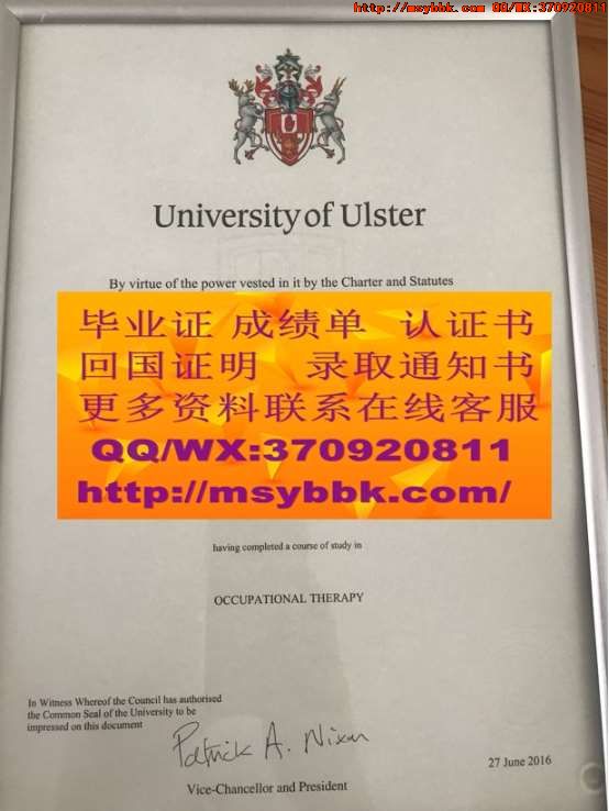 新泻大学毕业证样式