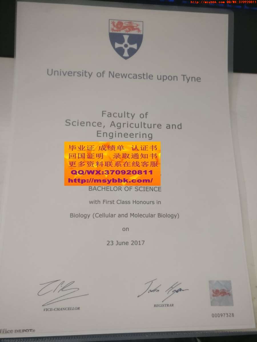 东海大学毕业证样式