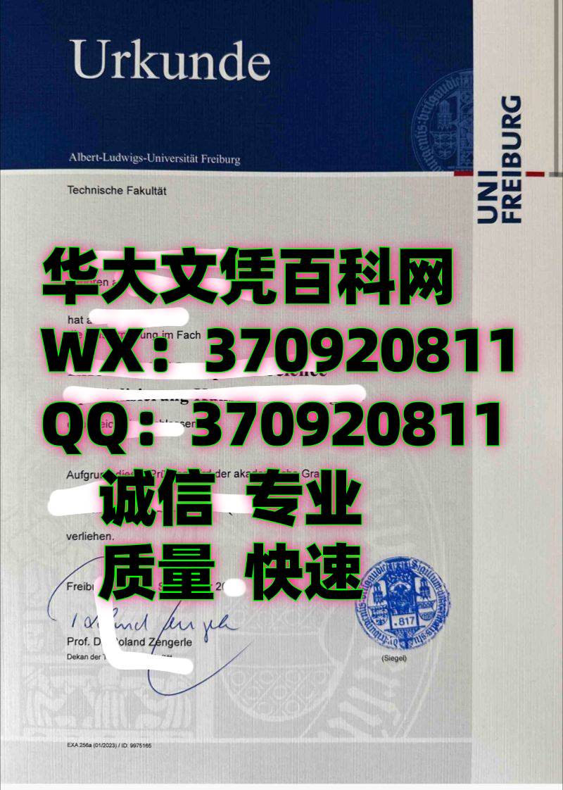 最新德国弗莱堡大学毕业证书图片欣赏，University of Freiburg Graduation Certificate