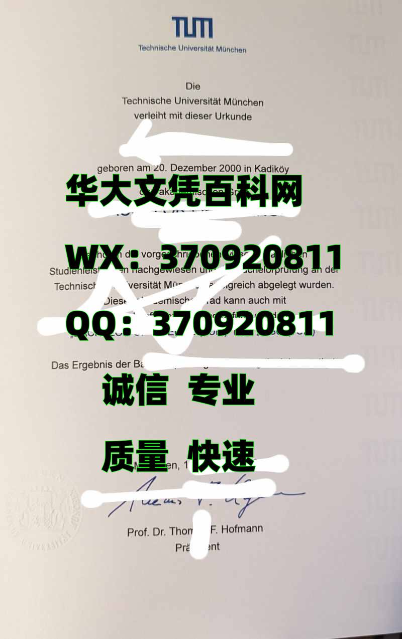 最新德国慕尼黑工业大学毕业证原版展示