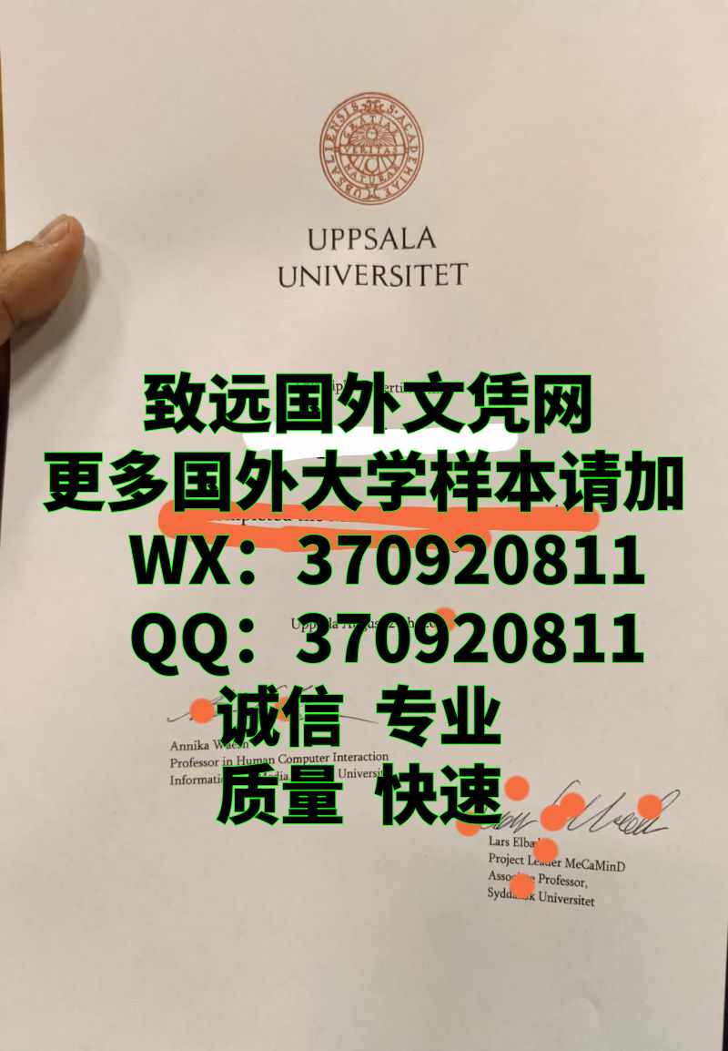 瑞典diploma，乌普萨拉大学毕业证照片展示