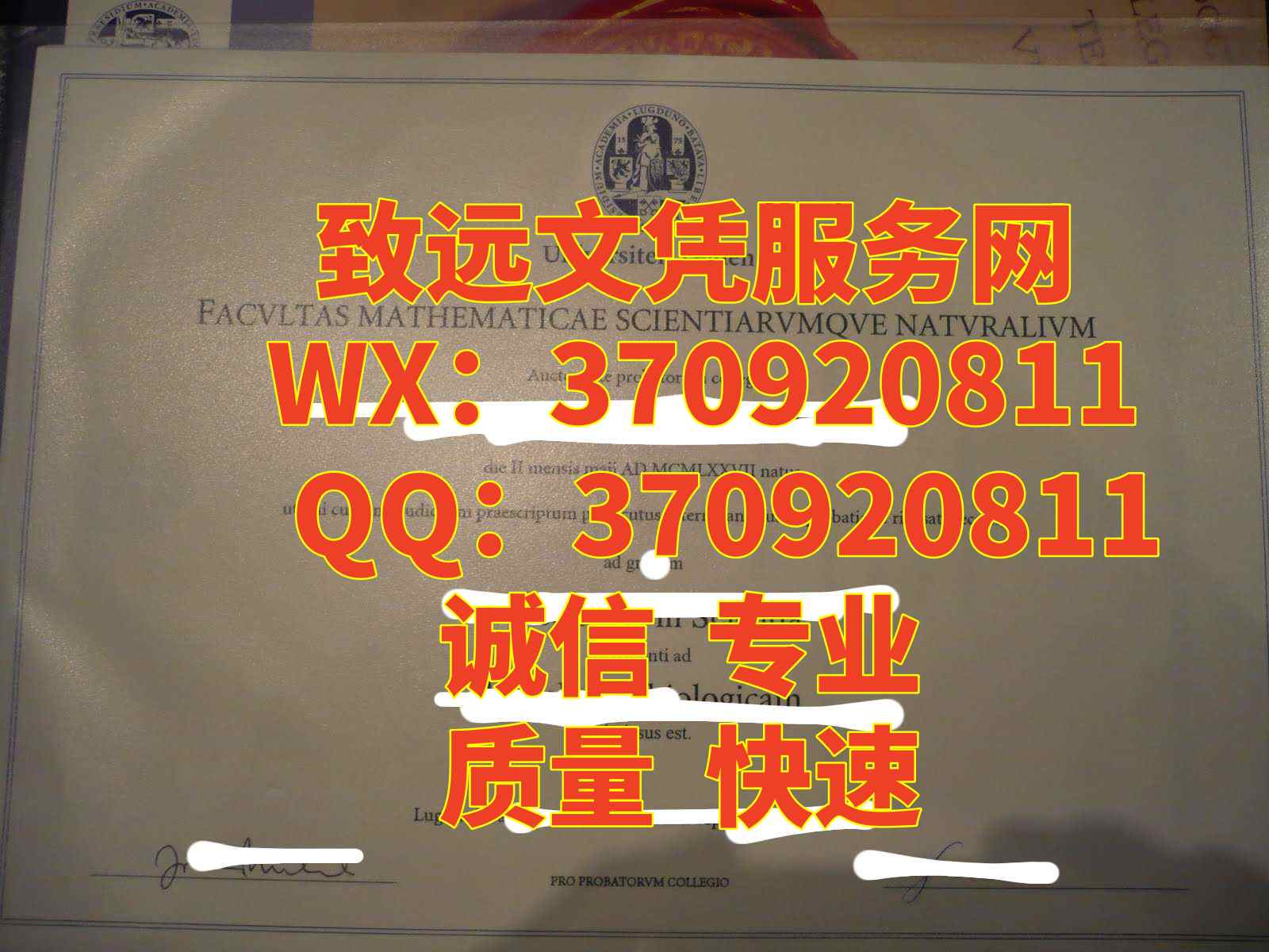 荷兰diploma，莱顿大学毕业证书样本展示
