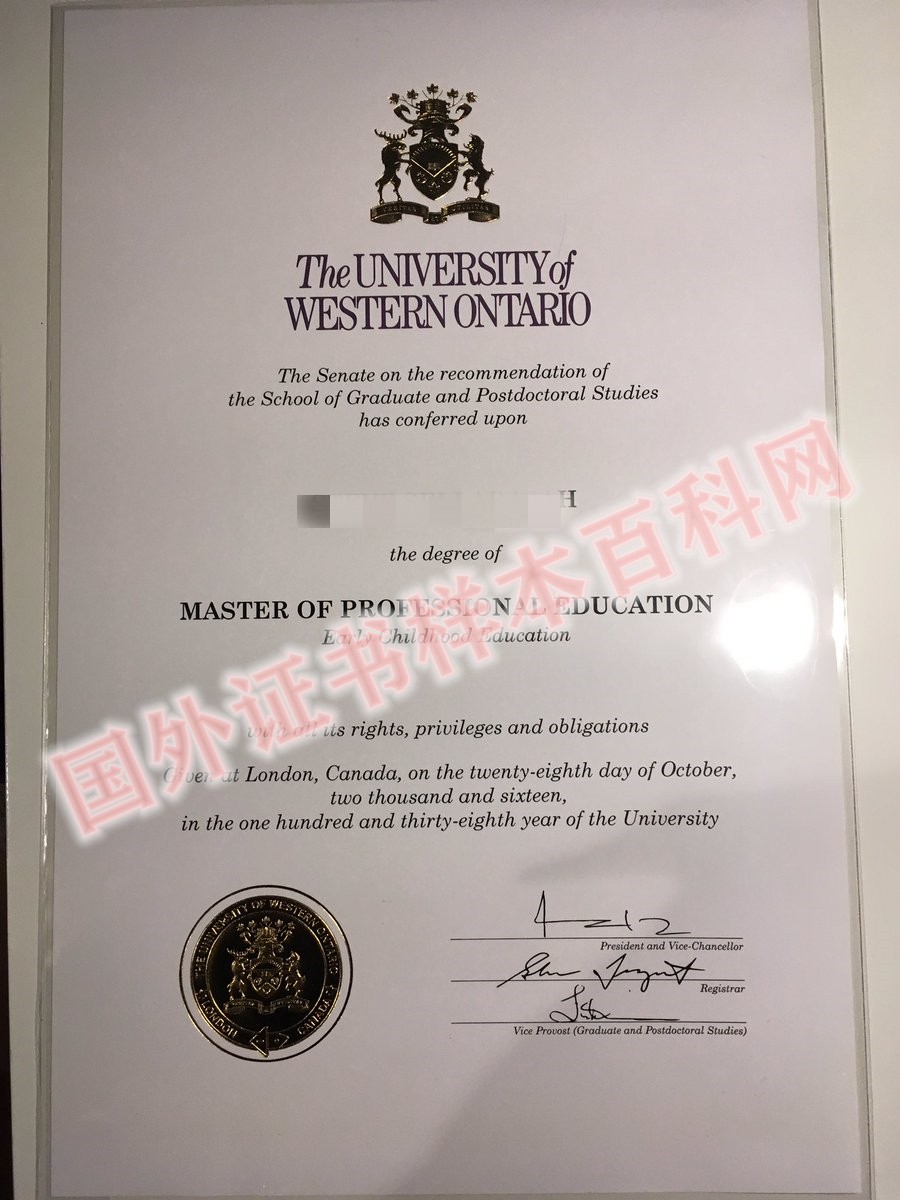 展示最新：加拿大温莎大学毕业证样本