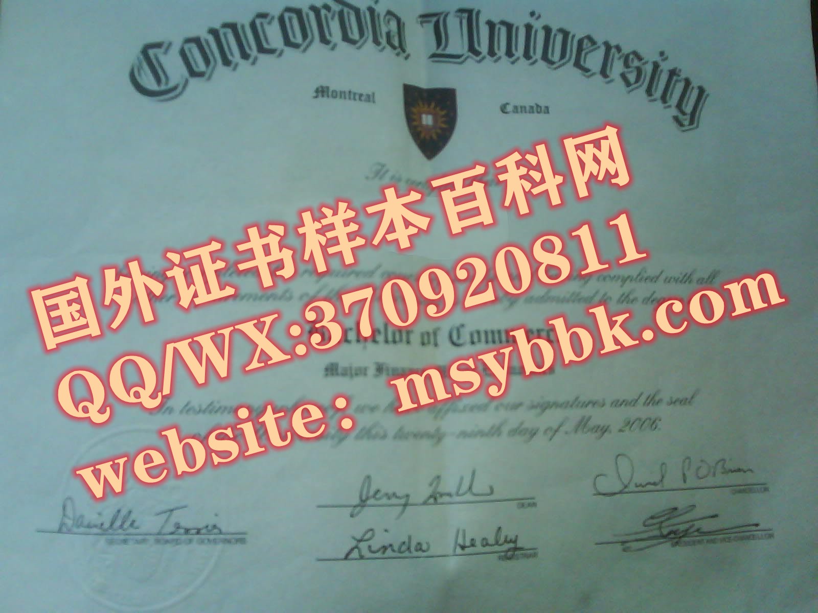 康卡迪亚大学毕业证书样本展示